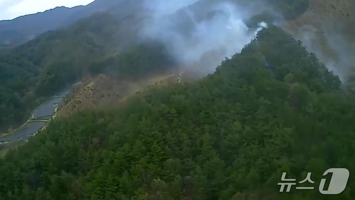 12일 오전 11시 4분쯤 경북 김천시 부항면 하대리 산 38번지 일원에서 산불이 발생했다.(산림청 제공) 2025.4.12/뉴스1