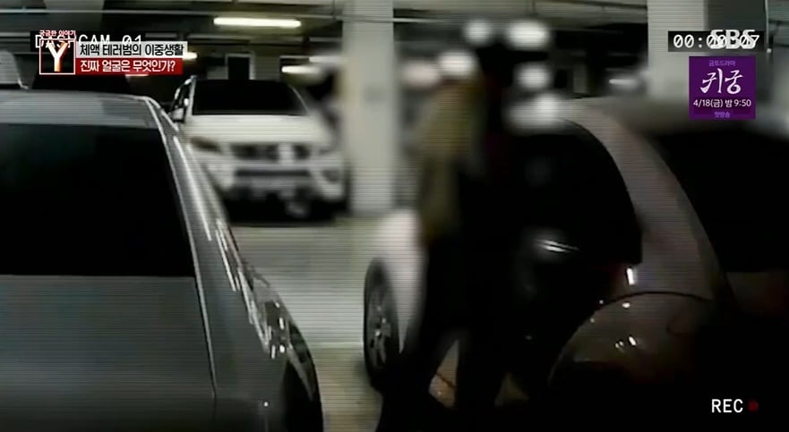 (SBS '궁금한 이야기Y' 갈무리)