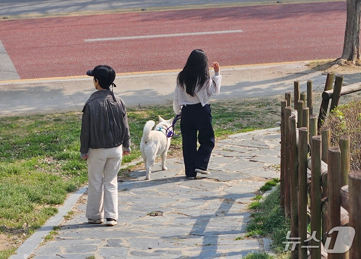 11일 오후 3시께 전북자치도 전주시 완산구 효자동 문학대공원에서 시민들이 반려견과 산책하고 있다. 2025.4.14/뉴스1 신준수 기자