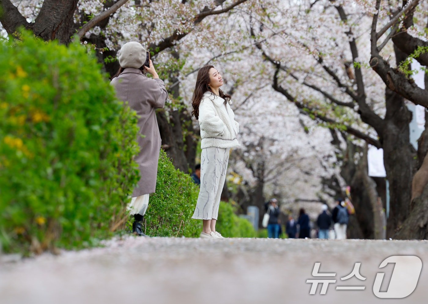 자료 사진. ⓒ News1 안은나 기자