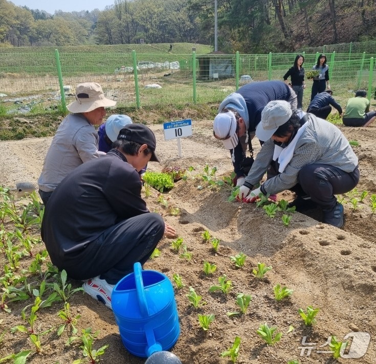 대구 수성구에 거주하는 고독사 위험군 주민이 '심는 즐거움, 거두는 기쁨' 사업에서 일환인 합동 씨뿌리기 행사를 참여했다.(대구 수성구 제공.재판매 및 DB 금지)