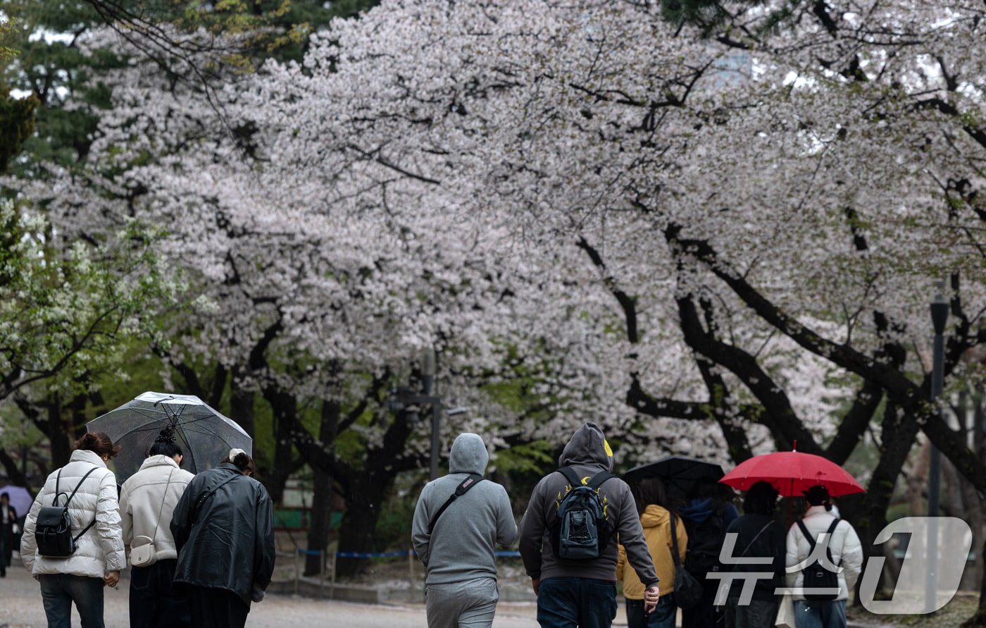 13일 오후 서울 중구 덕수궁에서 시민들이 갑자기 내린 비로 우산을 쓰고 발걸음을 옮기고 있다. 2025.4.13/뉴스1 ⓒ News1 이승배 기자