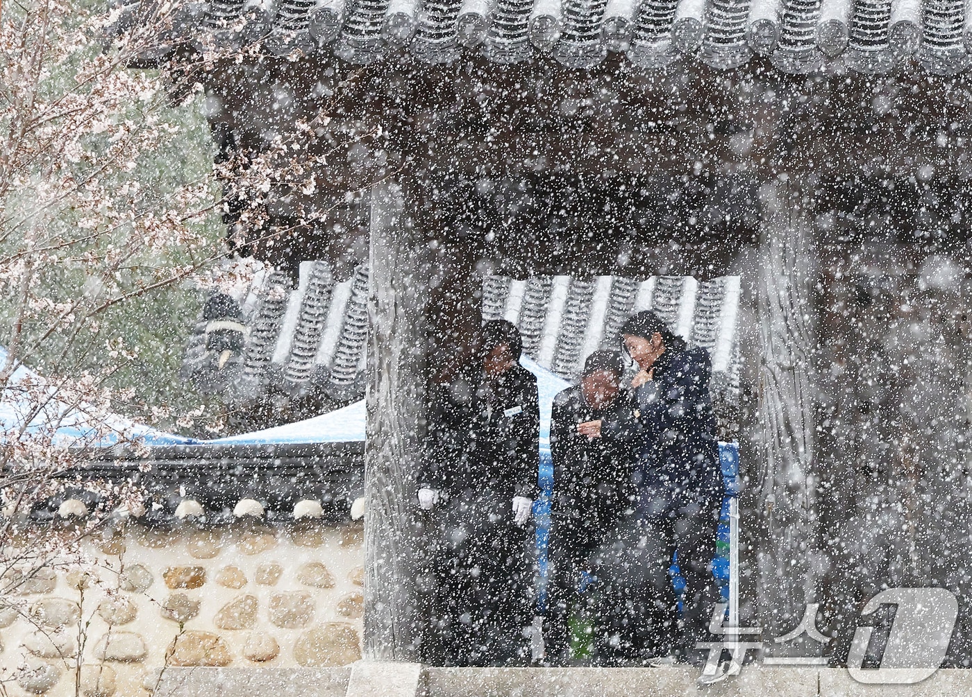 13일 ‘제112주기 문태서의병장 추모제향’ 행사가 열린 경남 함양군 서상면 문태서 의병장 생가에 함박눈이 내리고 있다. (함양군 제공. 재판매 및 DB 금지) 2025.4.13/뉴스1