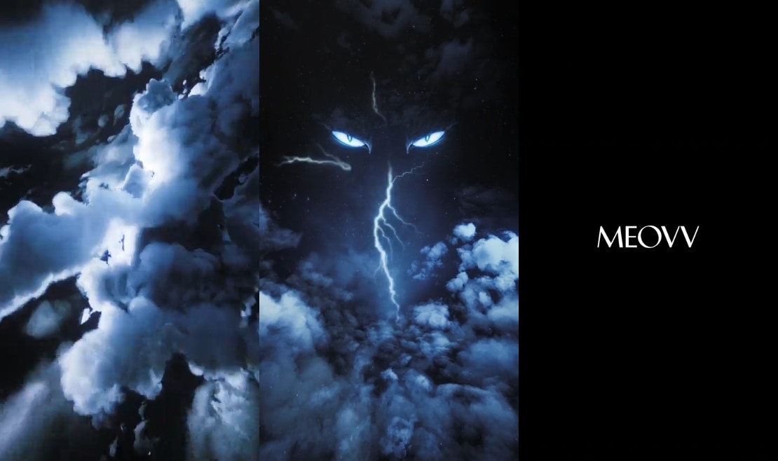 더블랙레이블 제공