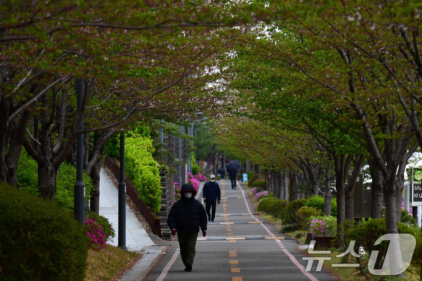 아침 기온이 뚝떨어진 14일 경북 포항시 남구 철길숲에서 두터운 차림의 시민들이 산책하고 있다. 2025.4.14/뉴스1 ⓒ News1 최창호 기자