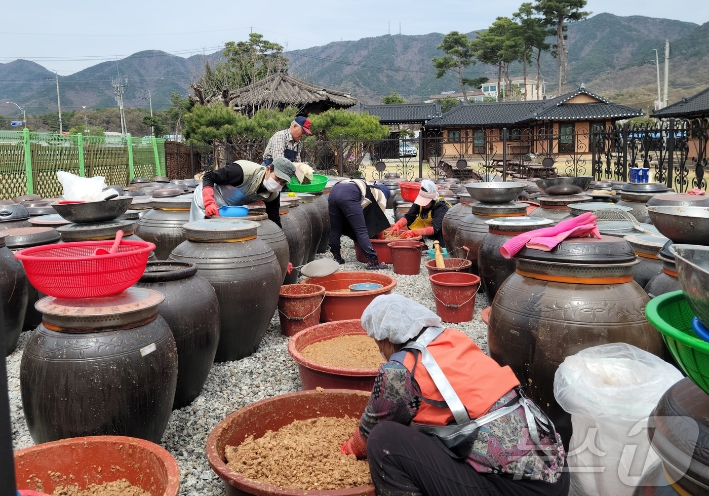 14일 충북 증평군 농촌체험휴양마을 '장이 익어가는 마을'에서 전통 장(醬) 가르기를 하고 있다.(증평군 제공, 재판매 및 DB금지).2025.04.14./뉴스1