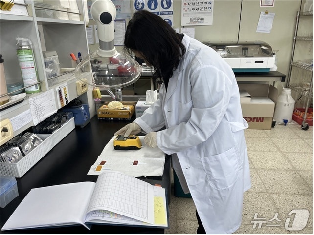 전북자치도 임실군 농업기술센터가 축산 농가를 대상으로 연중 무료 부숙도 검사를 지원한다.(임실군제공. 재판매 및 DB제공)2025.4.14/뉴스1