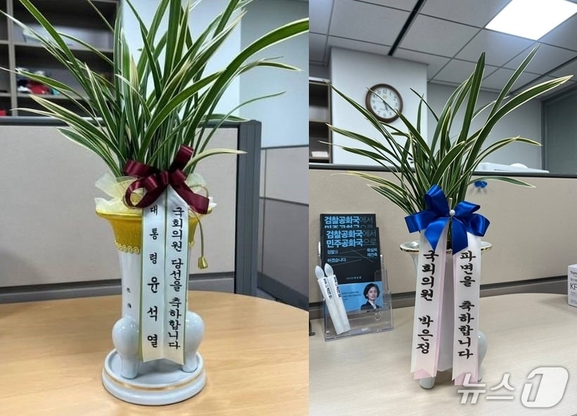 (박은정 조국혁신당 의원 페이스북 갈무리) /뉴스1