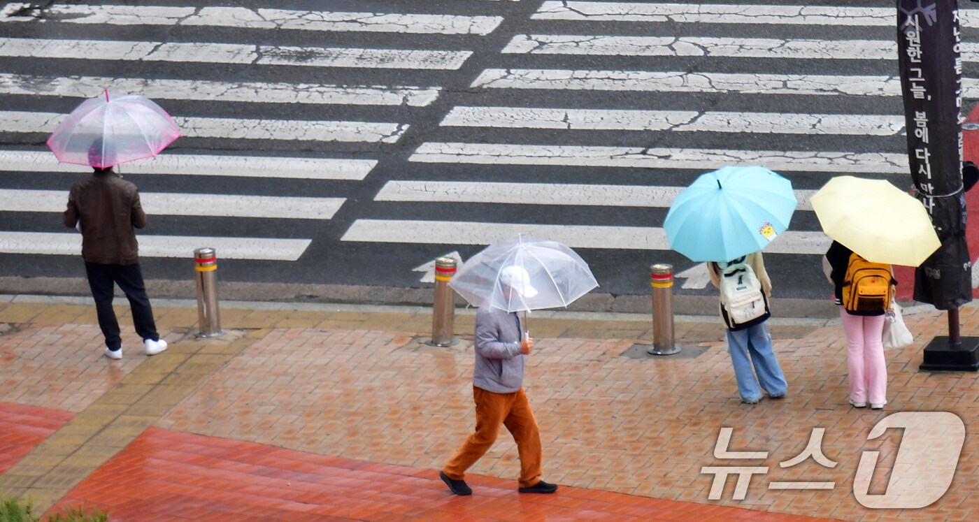 14일 오후 경북 포항시 전역에 반가운 단비가 내리고 있는 가운데 남구 포항시청 앞 횡단보도 앞에서 우산을 쓴 어린이들이 보행자 신호를 기다리고 있다. 2025.4.14/뉴스1 ⓒ News1 신성훈 기자,최창호 기자