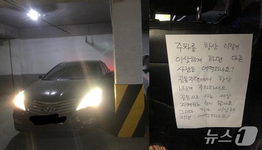 보배드림 갈무리/ 뉴스1