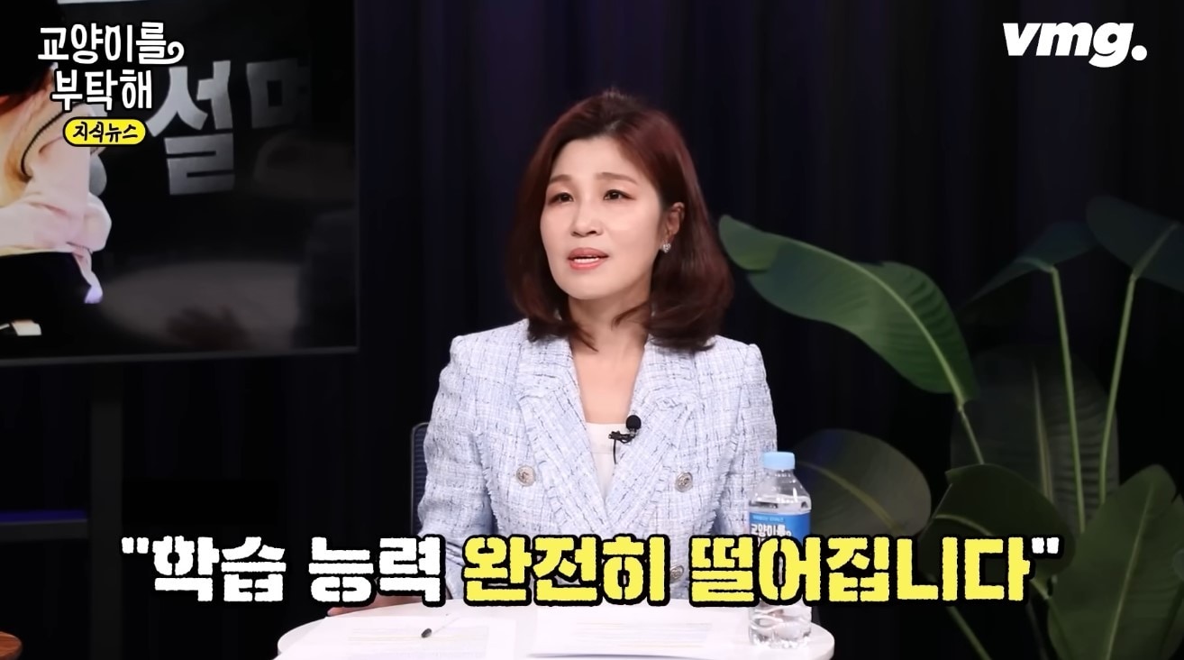 ('교양이를 부탁해')