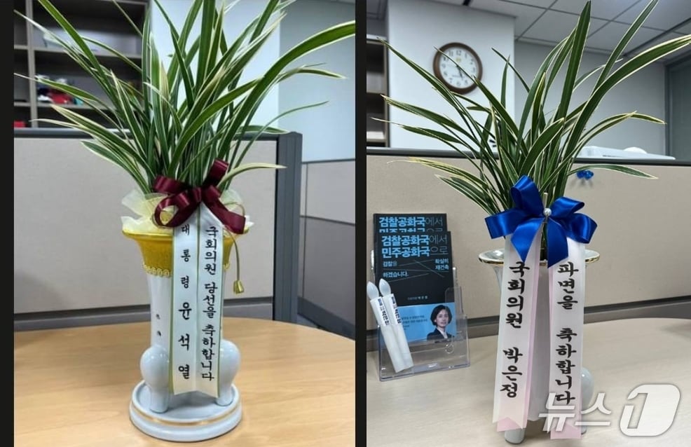 박은정 조국혁신당 의원은 2024년 5월 31일 윤석열 당시 대통령이 보내온 &#39;당선 축하난&#39;&#40;왼쪽&#41;을 당장 돌려주고 싶었지만 &#39;언젠가 탄핵되면 반드시 돌려주겠다&#39;&#39;며 꾹참고 키웠다고 했다. 그결과 지난 4일 헌법재판소가 파면선고를 내린 뒤 &#39;파면을 축하합니다&#39;며 리본 갈이를 하고  윤 전 대통령에게 전달할 준비를 마쳤다고 했다. &#40; SNS 갈무리&#41; ⓒ 뉴스1
