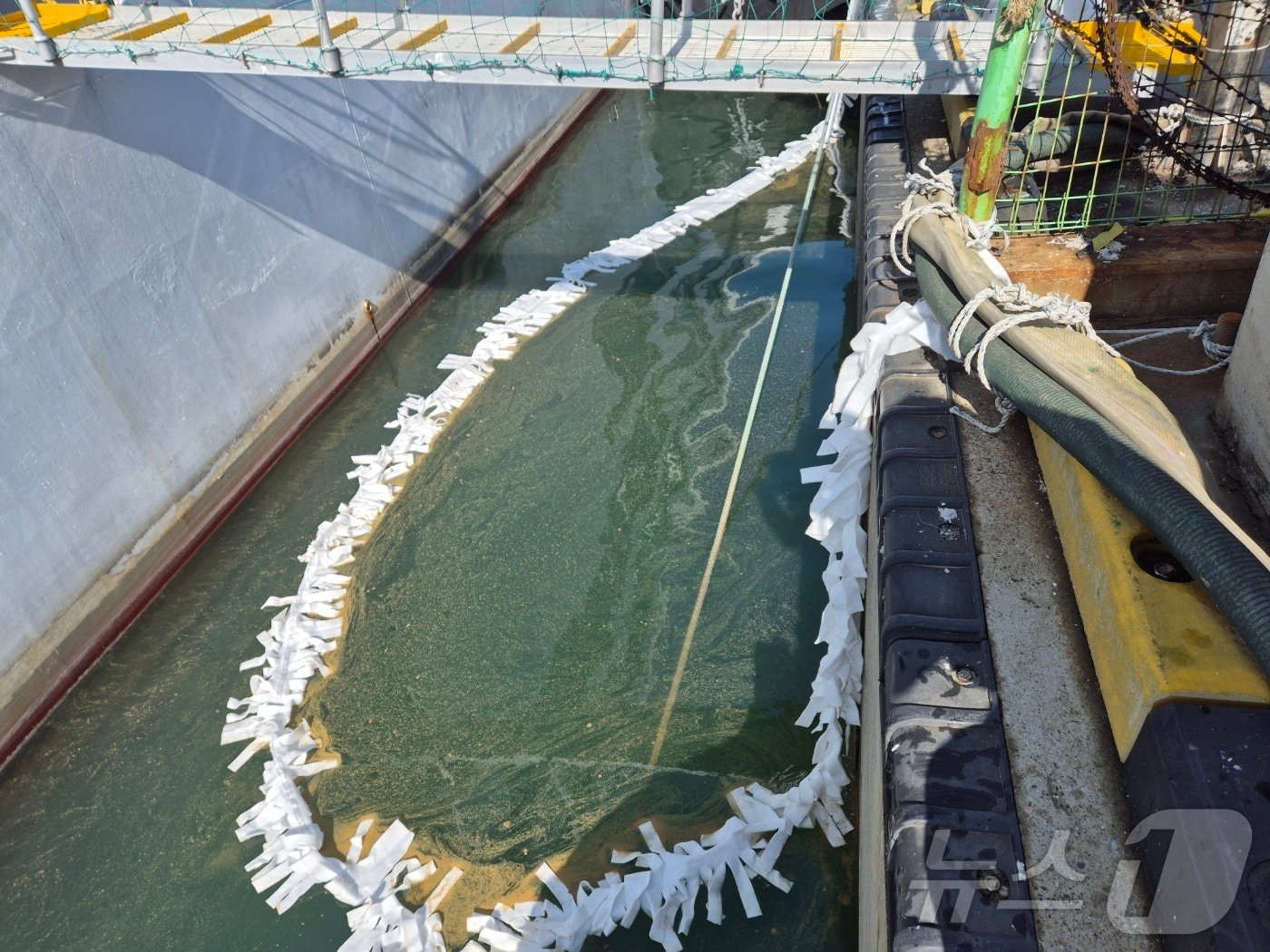 (사진은 기사 내용과 무관함) / 뉴스1 ⓒ News1