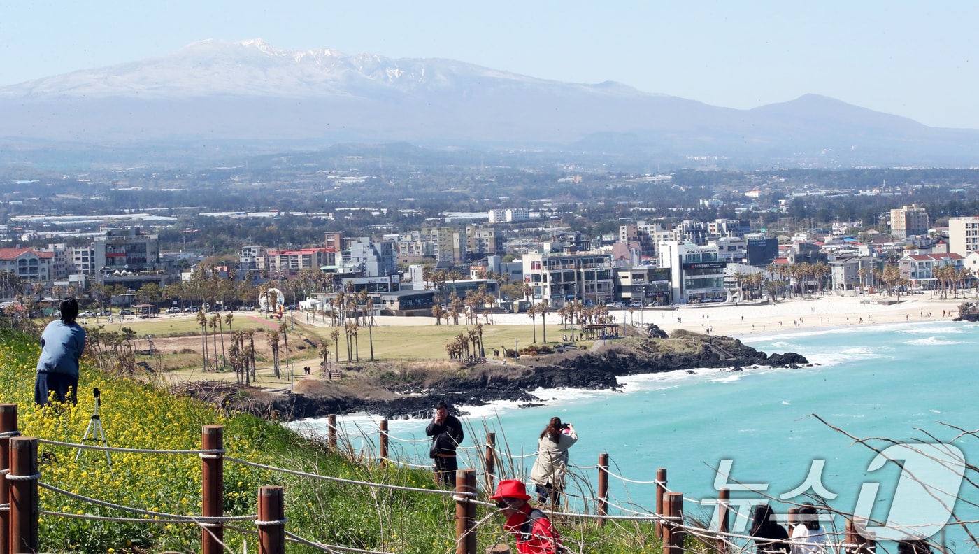 맑은 날씨를 보인 15일 오전 제주시 조천읍 서우봉에 활짝 핀 유채꽃 뒤로 전날 내린 눈이 쌓여있는 한라산이 보이고 있다.2025.4.15/뉴스1 ⓒ News1 오현지 기자