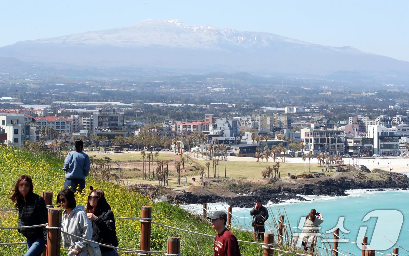 제주시 조천읍 서우봉 뒤로 전날 내린 눈이 쌓여있는 한라산이 보이고 있다. /뉴스1