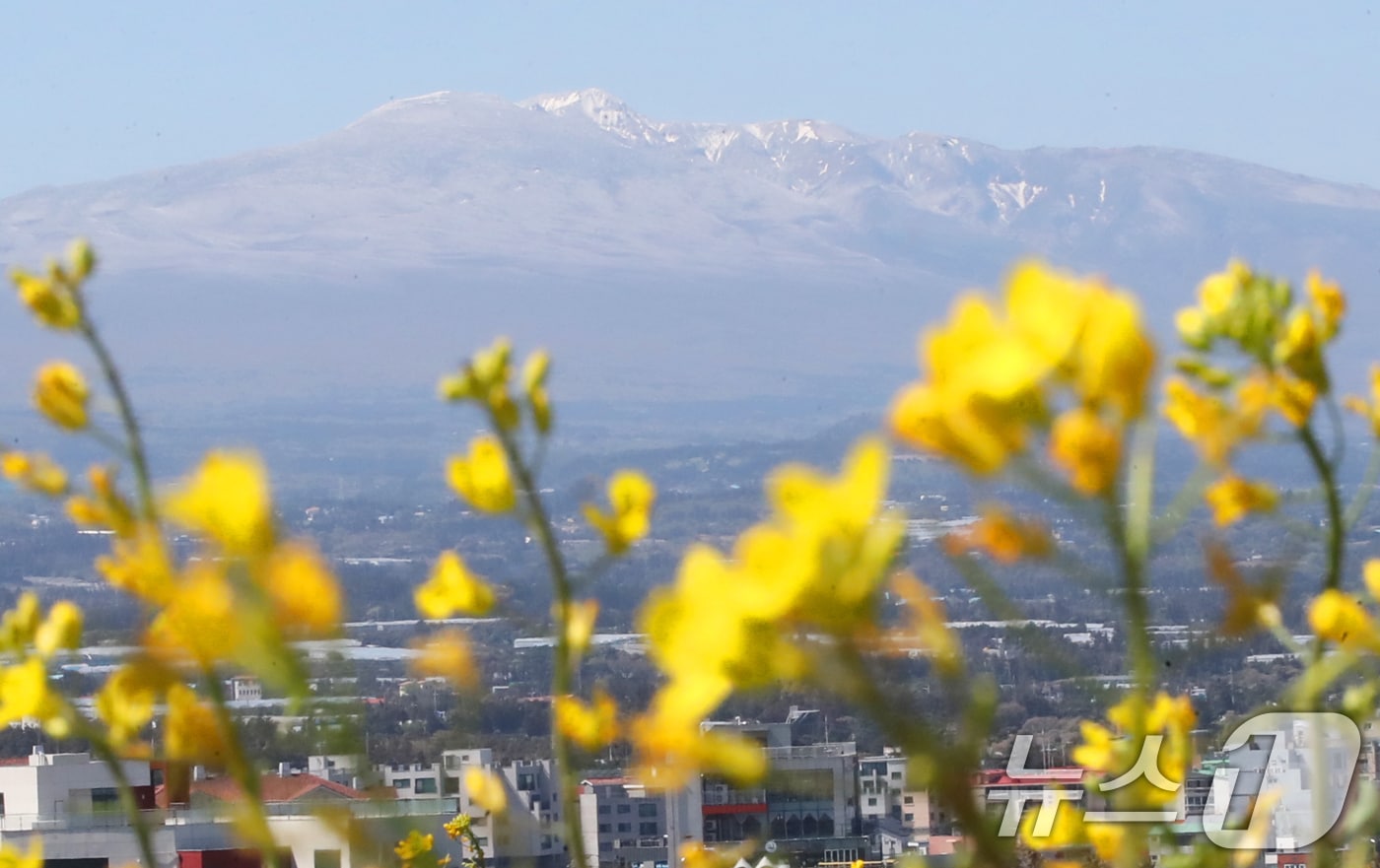 <자료사진> 2025.4.15/뉴스1 ⓒ News1 오현지 기자