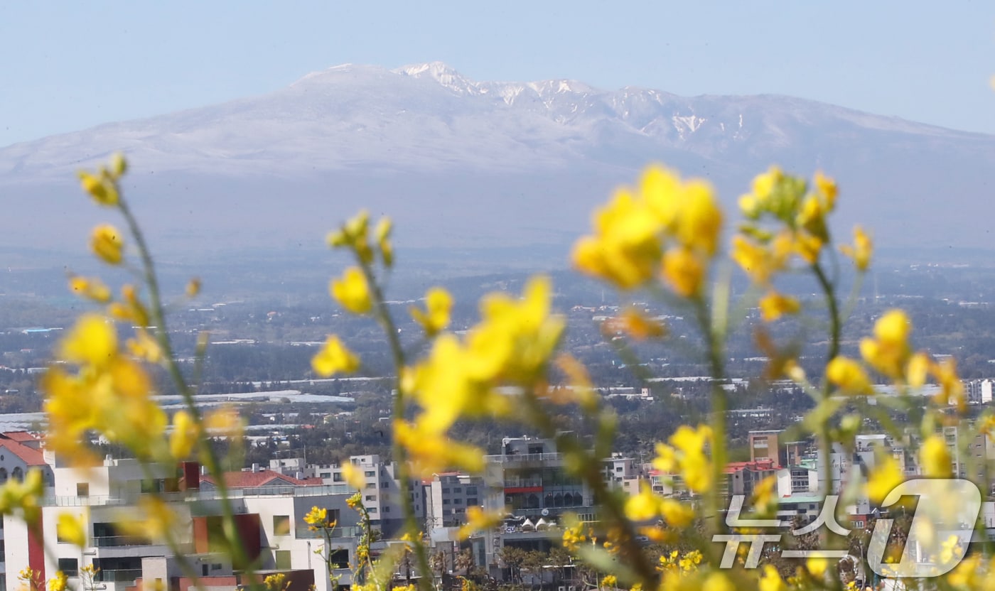 자료사진.ⓒ News1