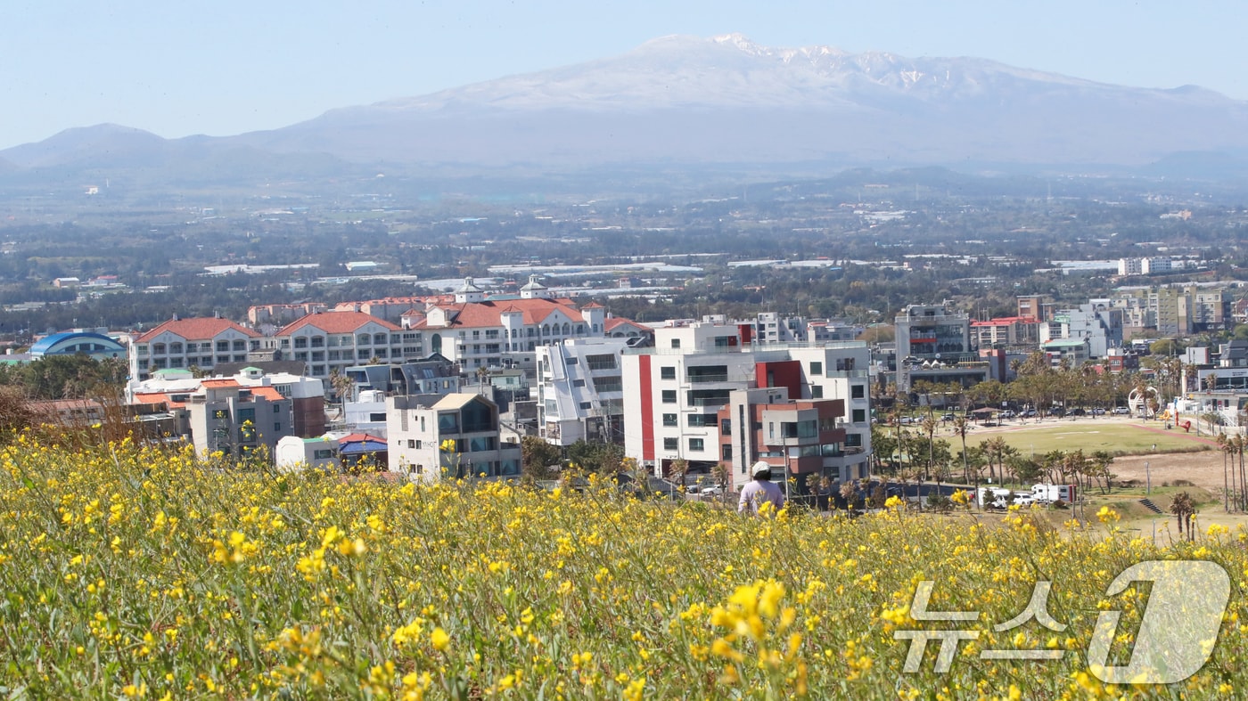 맑은 날씨를 보인 15일 오전 제주시 조천읍 서우봉에서 바라본 함덕해수욕장 뒤로 전날 내린 눈이 쌓여있는 한라산이 보이고 있다. 기상청은 16일부터 꽃샘추위가 해소되고 낮 최고기온이 26도까지 오르며 포근한 봄 날씨가 이어지겠다고 예보했다. 2025.4.15/뉴스1 ⓒ News1 오현지 기자