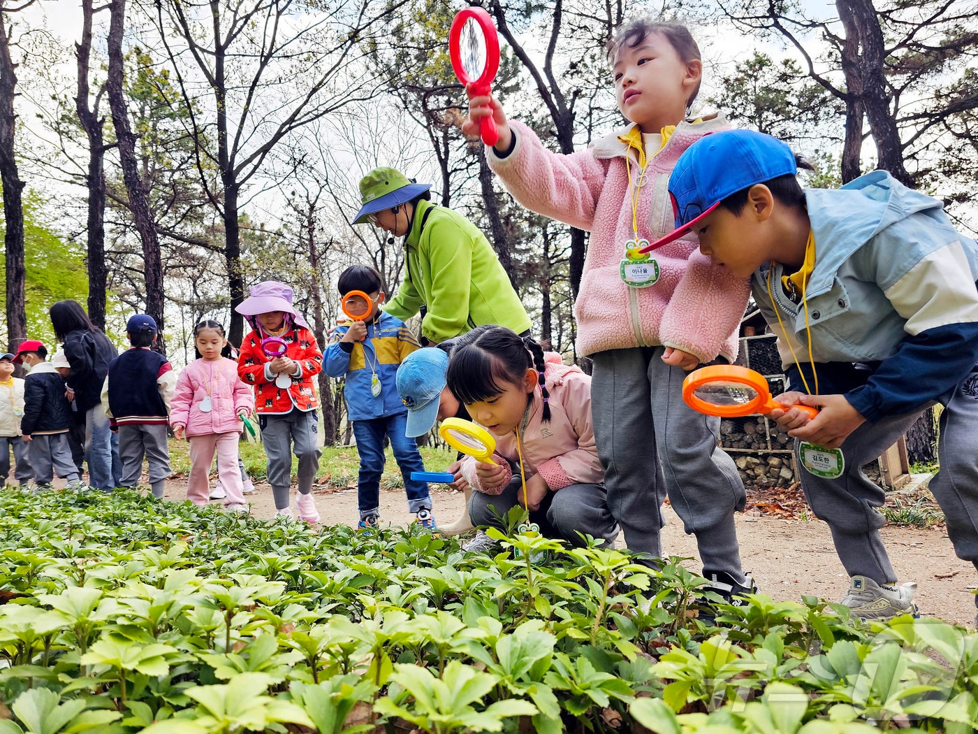  숲체험 프로그램에 참가한 아이들이 생태체험 활동하고 있다.(자료사진) ⓒ News1 박지현 기자