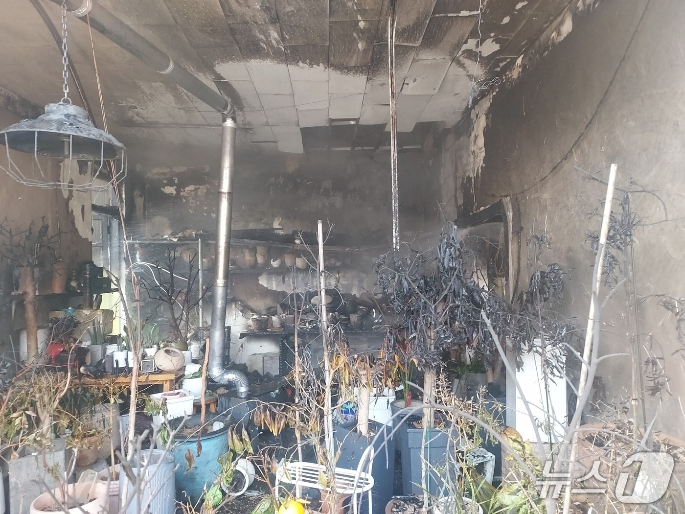 15일 오전 8시 39분께 전북자치도 익산시 신동 한 꽃집에서 불이 났다.(전북소방 제공. 재판매 및 DB금지) 