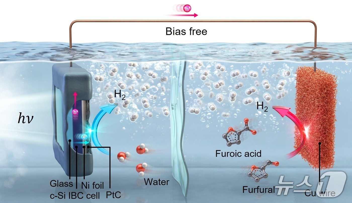 태양광만을 이용한 고효율 이중 수소 생산 시스템 모식도. (UNIST 제공. 재판매 및 DB 금지) /뉴스1