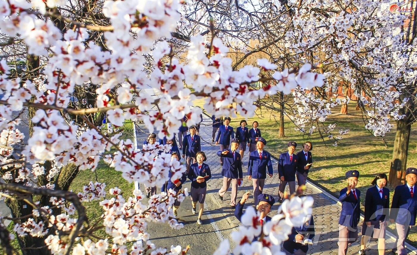 &#40;평양 노동신문=뉴스1&#41; = 북한 노동당 기관지 노동신문은 16일 &#34;4월 봄명절을 맞이해 수도의 거리에 꽃향기가 넘친다＂면서 평양 송화거리, 화성거리 등을 조명했다. [국내에서만 사용가능. 재배포 금지. DB 금지. For Use Only in the Republic of Korea. Redistribution Prohibited] rodongphoto@news1.kr