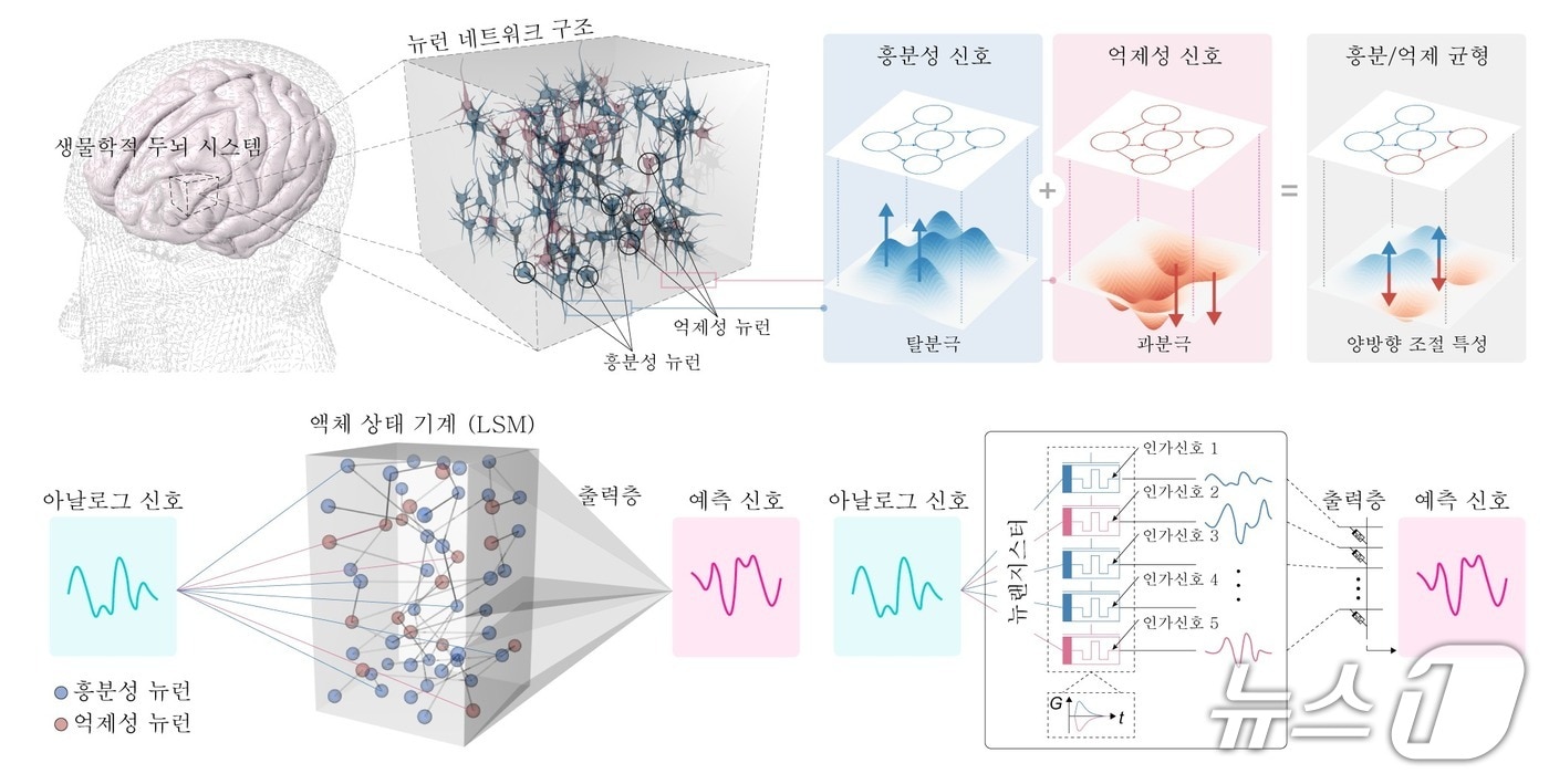 뇌 신경망의 특성을 반도체로 구현한 뉴랜지스터 개발 연구 개념도. (KAIST 제공. 재판매 및 DB금지) /뉴스1