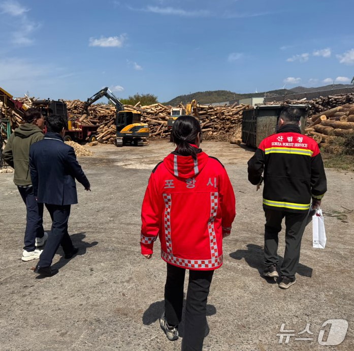 경북 포항시가 영덕국유림관리소와 함께 2025년 봄철 소나무류 이동 특별단속을 실시 중이라고 16일 밝혔다. 사진은 산림청과 합동으로 감염목 확인에 나선 모습. &#40;포항시제공, 제판매 및 DB 금지&#41; 2025.4.16/뉴스1  