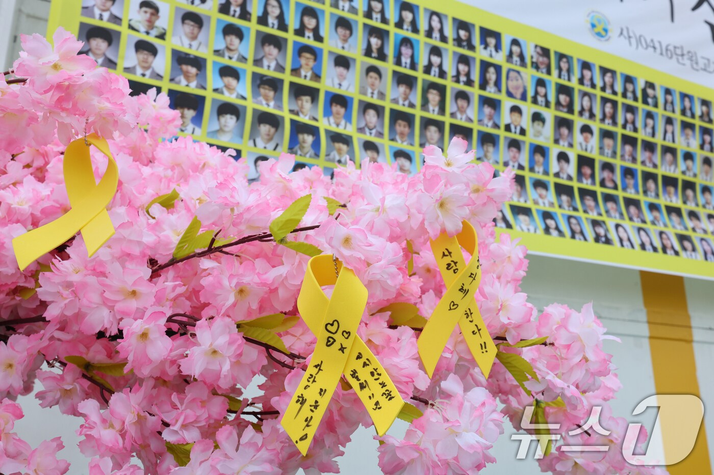 세월호 참사 11주기인 16일 오전 전남 진도군 동거차도 인근 세월호 참사 해역에서 열린 선상 추모식에서 가족들이 소원 띠를 걸고 있다. 2025.4.16/뉴스1 ⓒ News1 이수민 기자