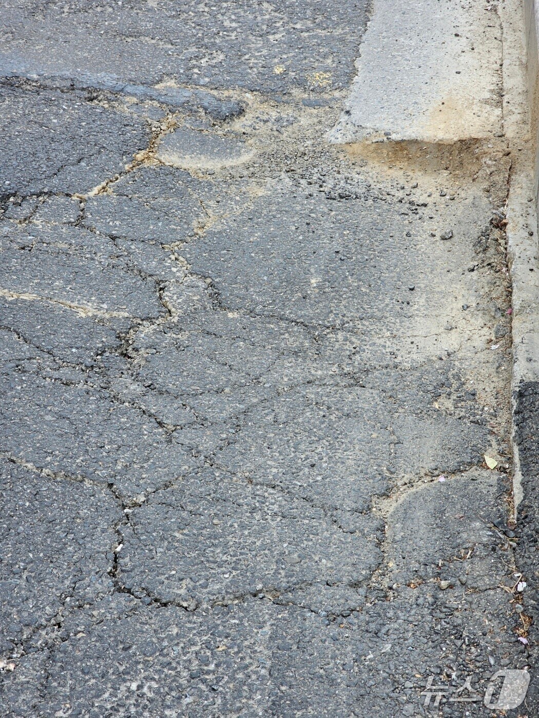 강남구 압구정역 4번 출구 앞 도로 침하 모습.(강남구청 제공)