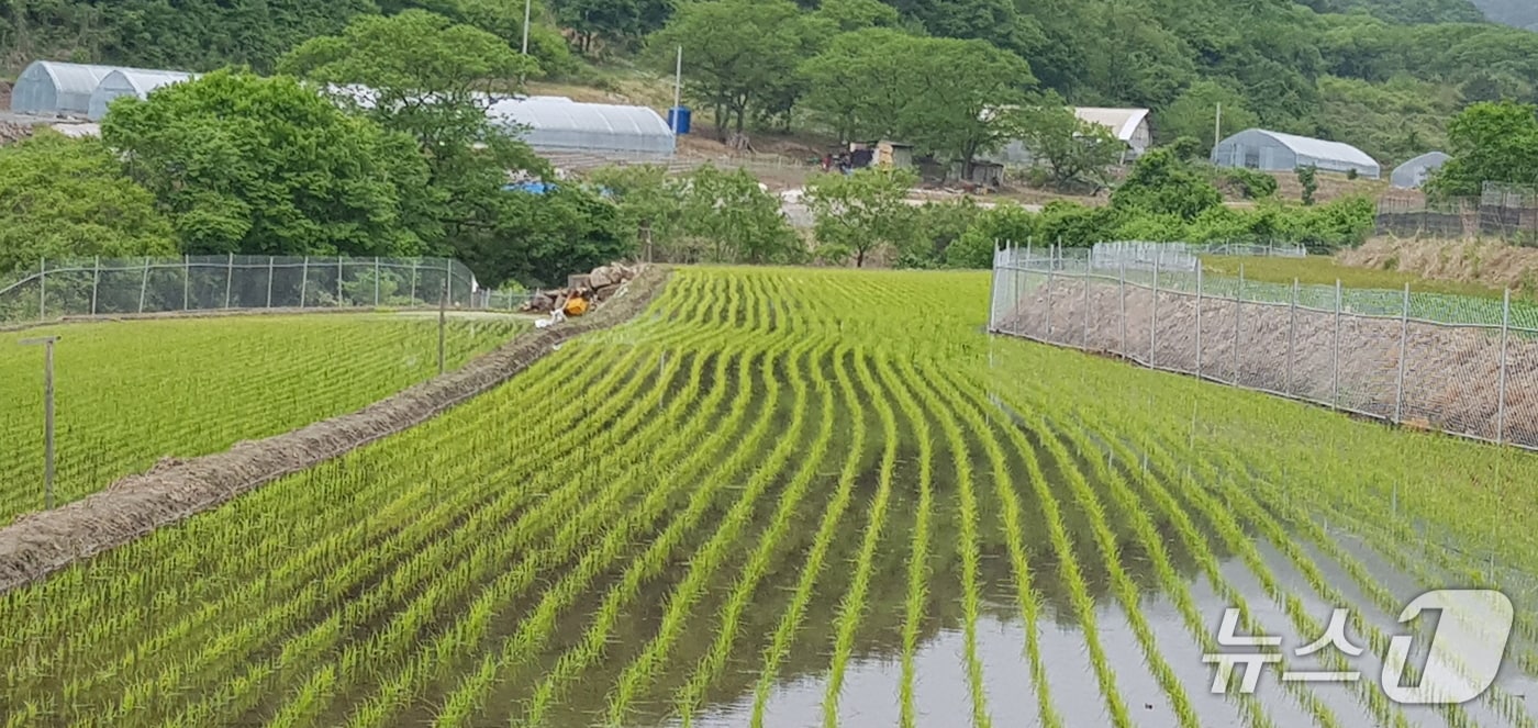 강원 화천군이 농경지 주변 야생동물 피해예방을 위한 철제 울타리 설치 지원 사업을 추진한다.(화천군 제공, 재판매 및 DB금지)