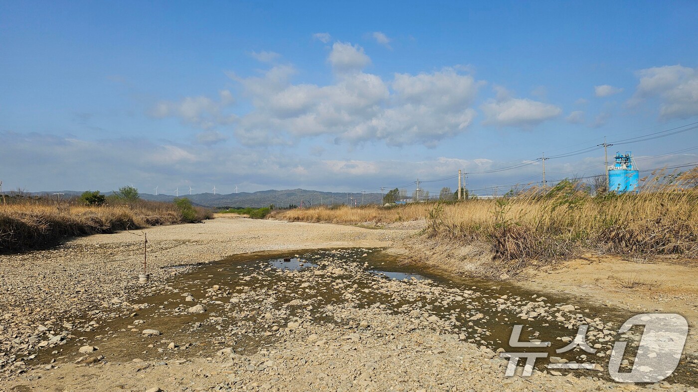 17일 오전 경북 포항시 북구 흥해읍 곡강천 상류가 말라있다. 주민들은 "하천 상류가 바닥을 보일 정도로 마른 것은 흔치 않은 일"이라고 말했다. 2025.4.17/뉴스1 ⓒ News1 최창호 기자