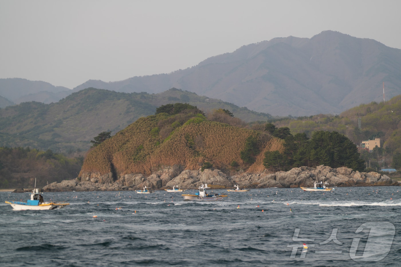 동해안 최북단 저도어장.(강원도 제공, 재판매 및 DB 금지) 