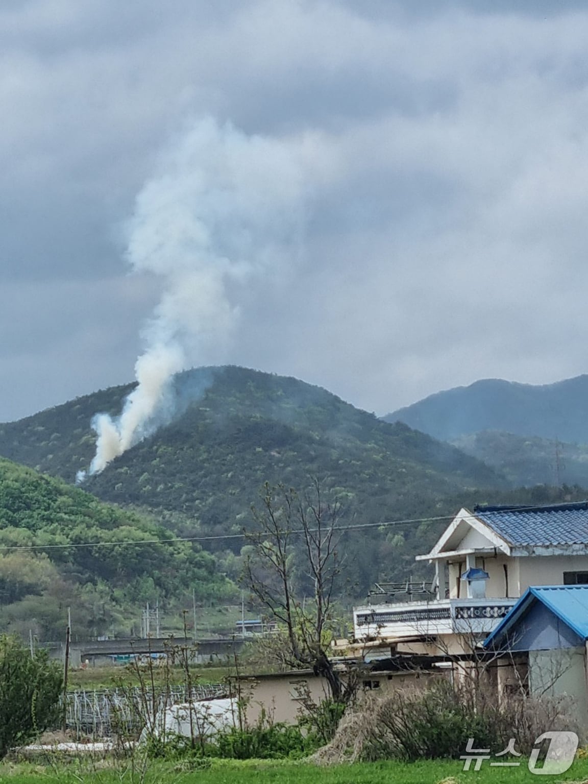  17일 오후 1시17분쯤 경북 경주시 천북면 오야리 산에서 원인을 알 수 없는 불이 났다. (신림청제공, 제판매 및 DB 금지) 2025.4.17/뉴스1