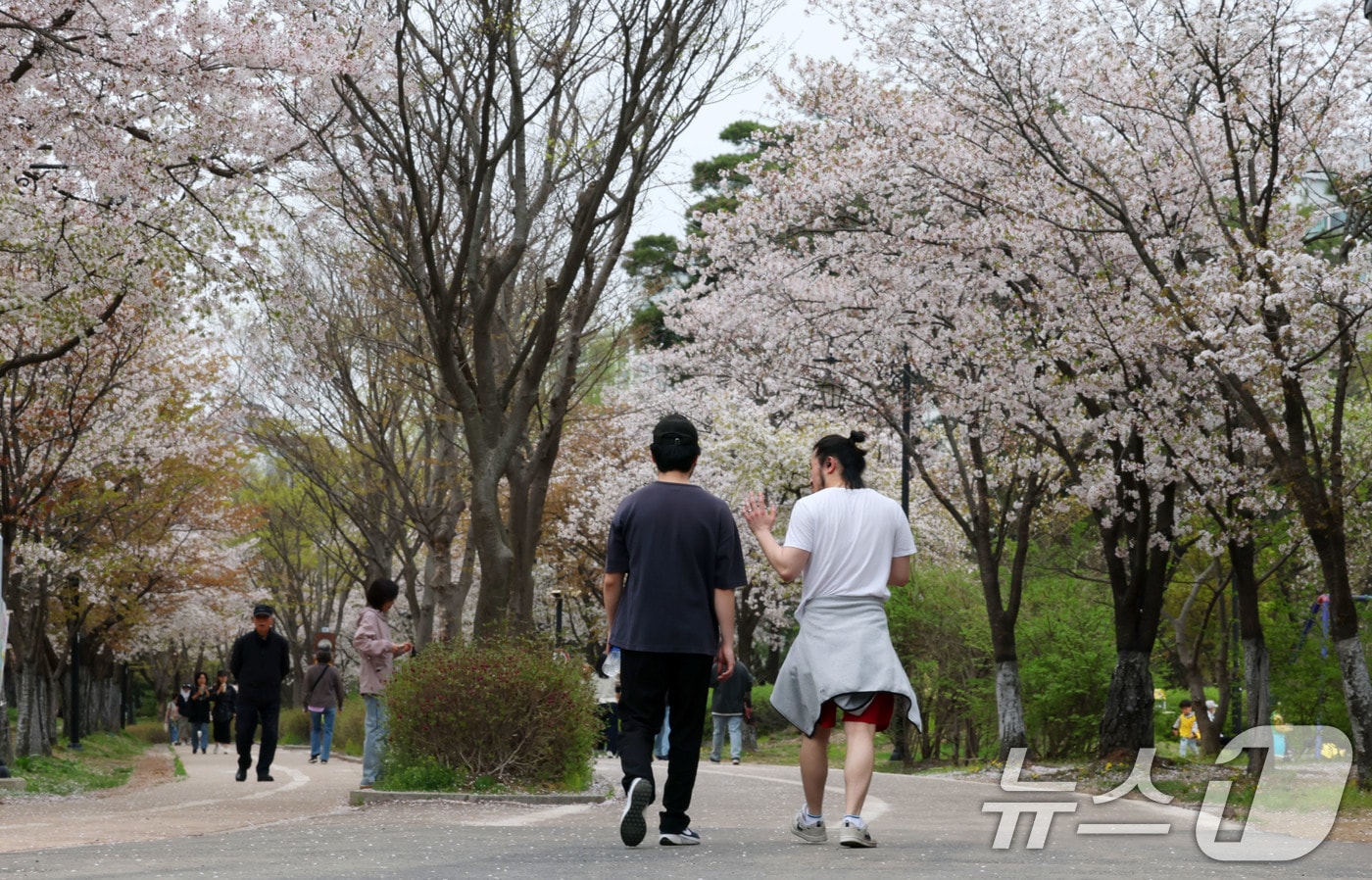 반팔티와 반바지 등 가벼운 옷차림의 시민들이 산책을 하고 있다.(사진은 기사 내용과 무관함) / 뉴스1 ⓒ News1