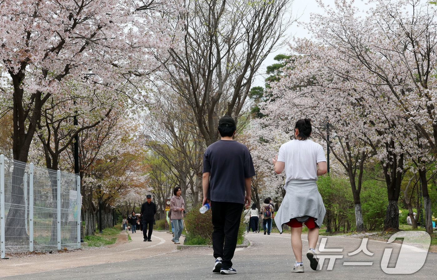 자료사진/뉴스1