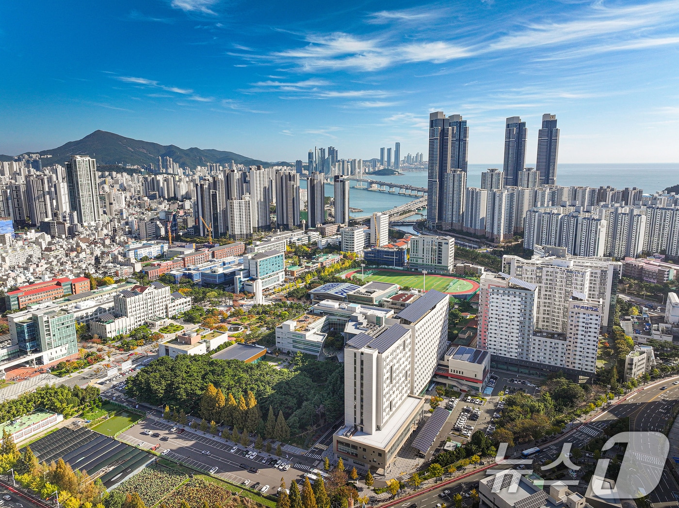 부산 남구 국립부경대학교 대연캠퍼스 전경. (부경대 제공. 재판매 및 DB 금지)