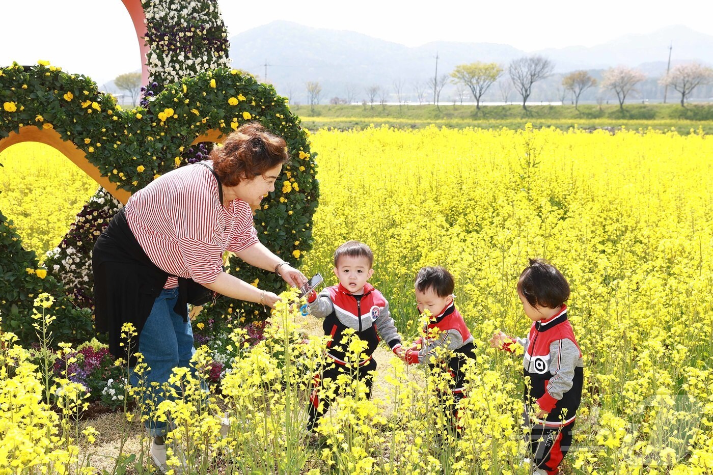 화순 봄꽃축제가 열리는 꽃강길 유채밭.&#40;화순군 제공, 재배포 및 DB금지&#41; /뉴스1