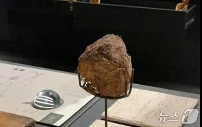 코끼리 똥을 재료로 만든 디저트 - SCMP 갈무리