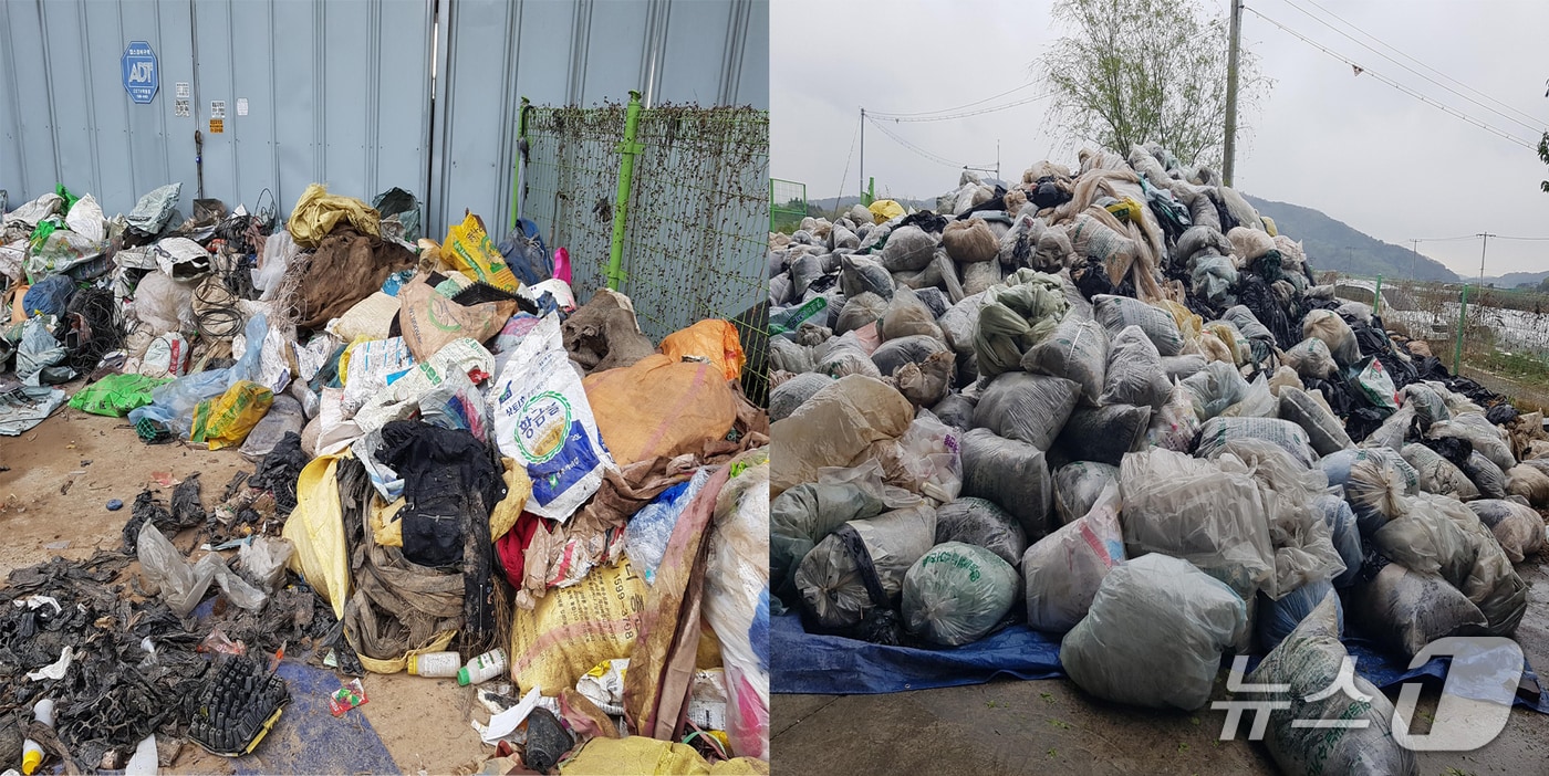 대구 북구 매천대교 밑 집하장 개선 전(좌), 개선 후.(대구 북구 제공.재판매 및 DB 금지)
