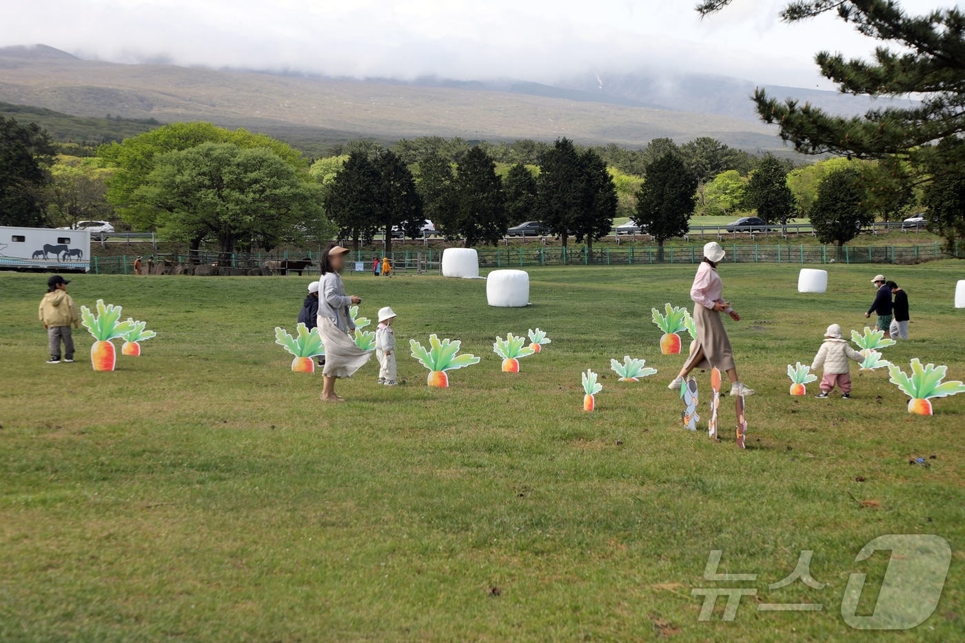 19일 제주시 제주마방목지에서 열린 '2025 제주마 입목 문화축제 347 페스티벌'에서 한 가족이 봄 날씨를 즐기고 있다. 2025.4.19/뉴스1 ⓒ News1 홍수영 기자