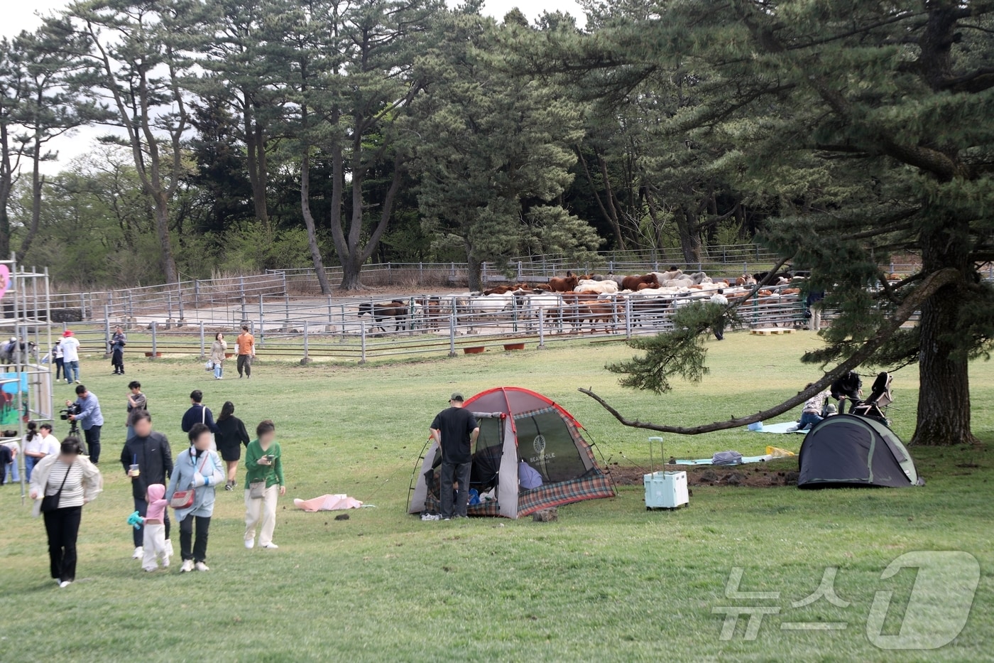 자료사진/뉴스1 ⓒ News1 