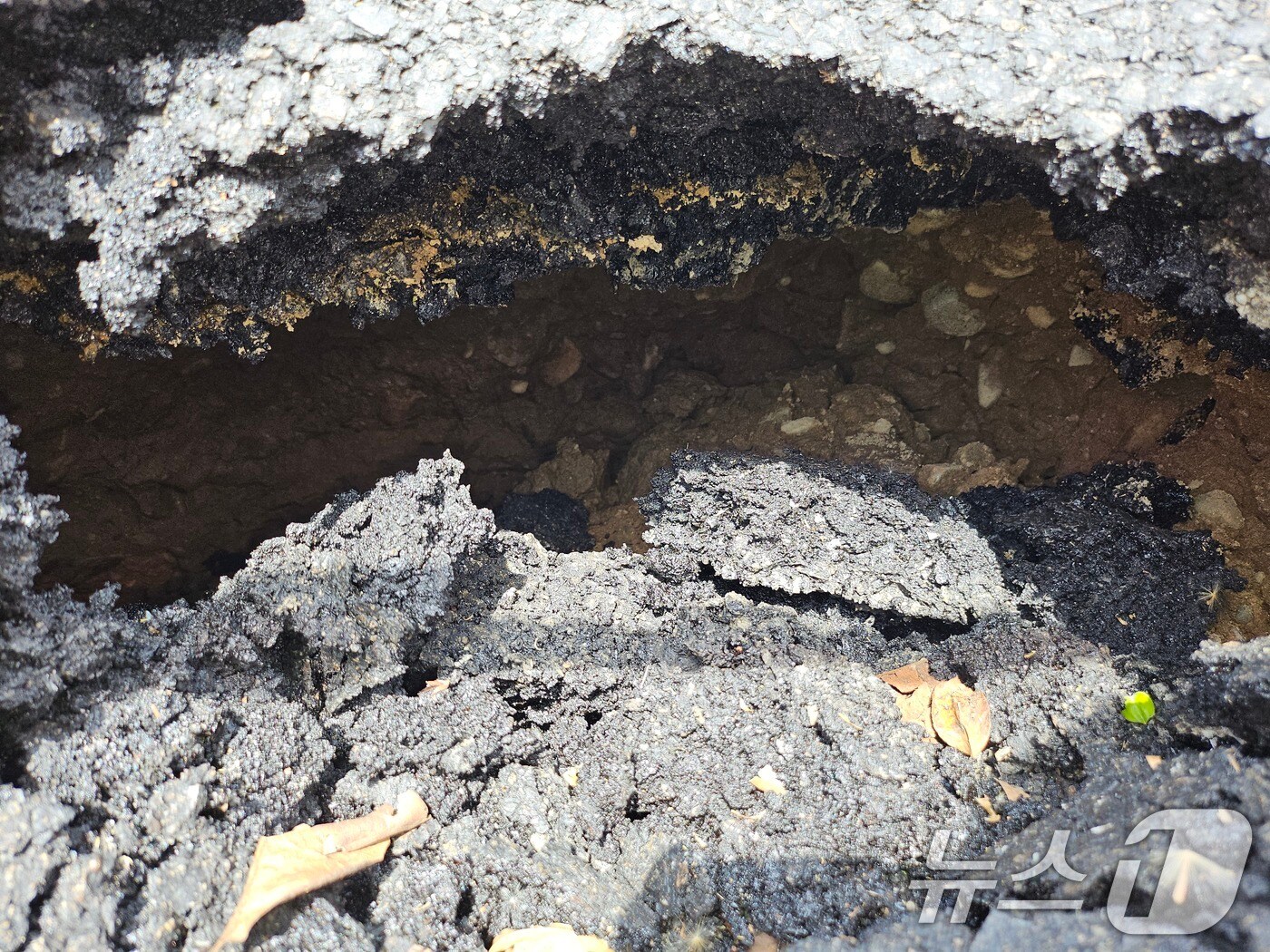 19일 오후 광주 광산구 하남동의 한 도로에서 싱크홀이 발생한 모습.(광주 광산구 제공. 재판매 및 DB금지) 2025.4.19/뉴스1 ⓒ News1 이수민 기자