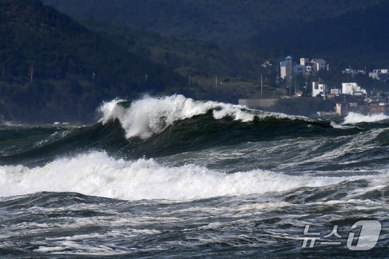 기사 이해를 돕기 위한 자료 사진으로 기사 내용과 직접 관련 없음. (뉴스1 DB)
