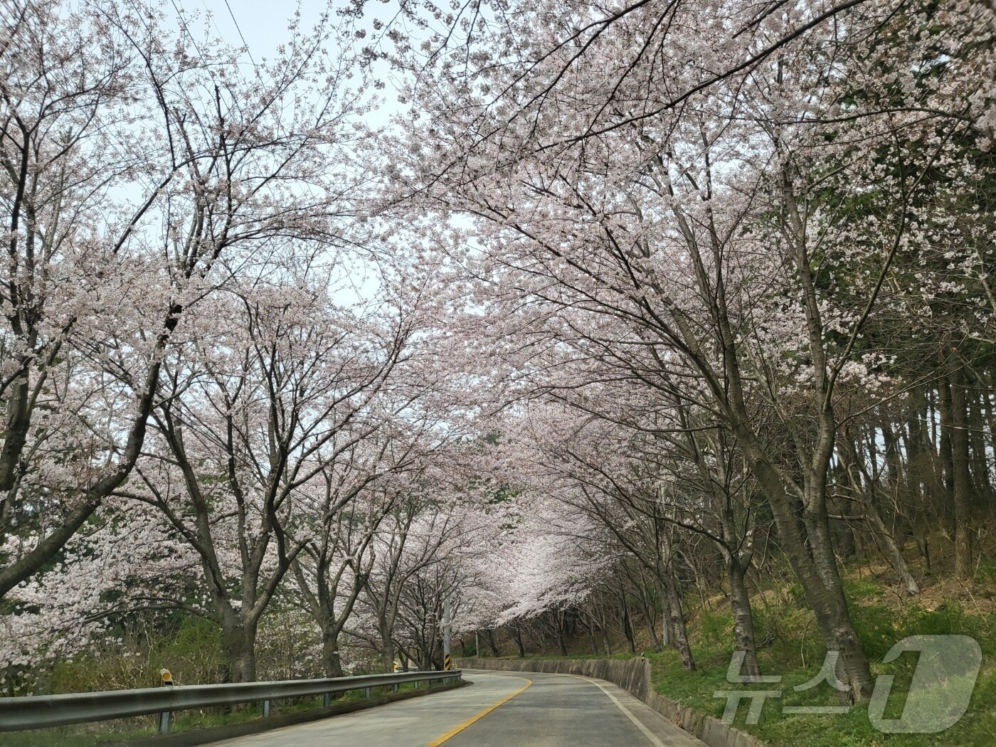 충남 서산 중리마을(한국어촌어항공단 제공)