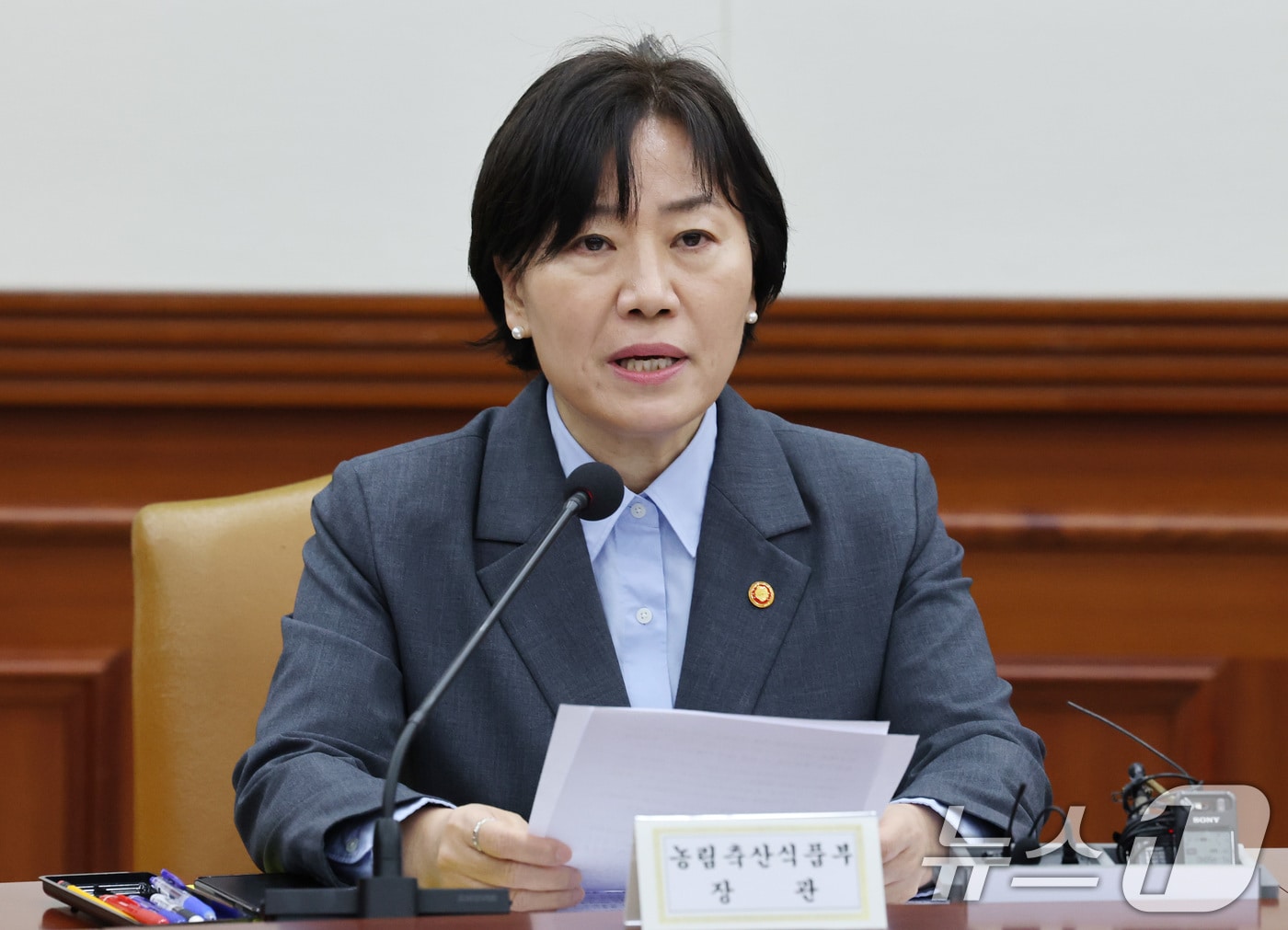송미령 농림축산식품부 장관이 2일 서울 종로구 정부서울청사에서 열린 경제관계장관회의에서 발언을 하고 있다. 2025.4.2/뉴스1 ⓒ News1 임세영 기자