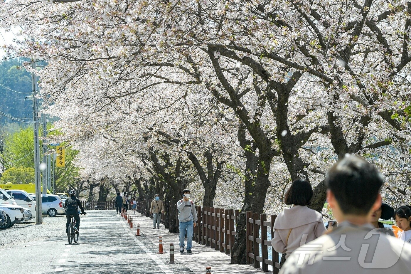 전남 순천 용당뚝방길.(순천시 제공. 재판매 및 DB금지)
