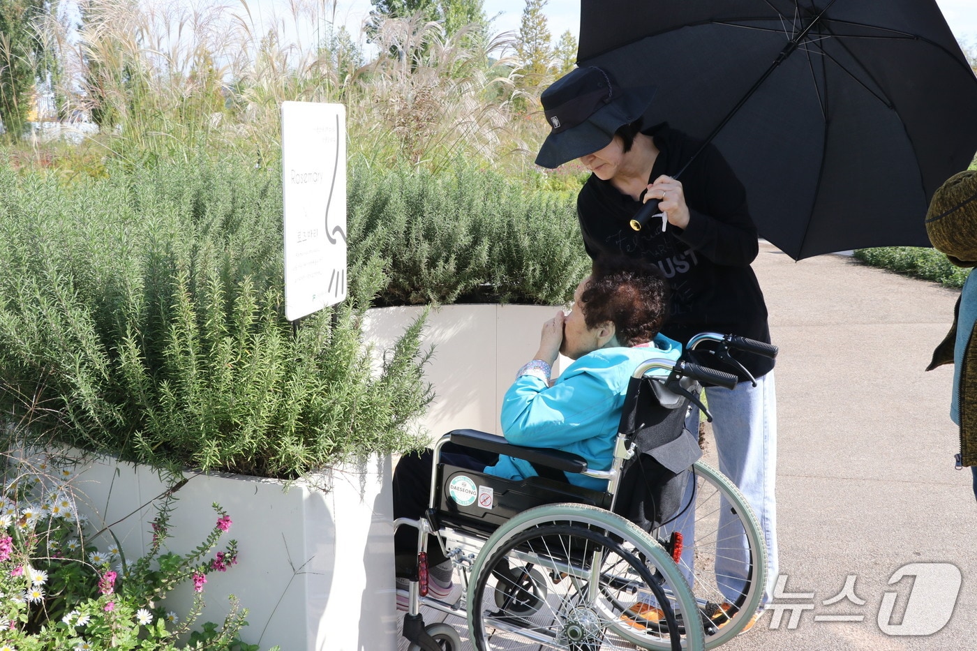 휠체어 관람객 감각정원 관람 모습. (한국수목원정원관리원 제공.재판매 및 DB금지) /뉴스1