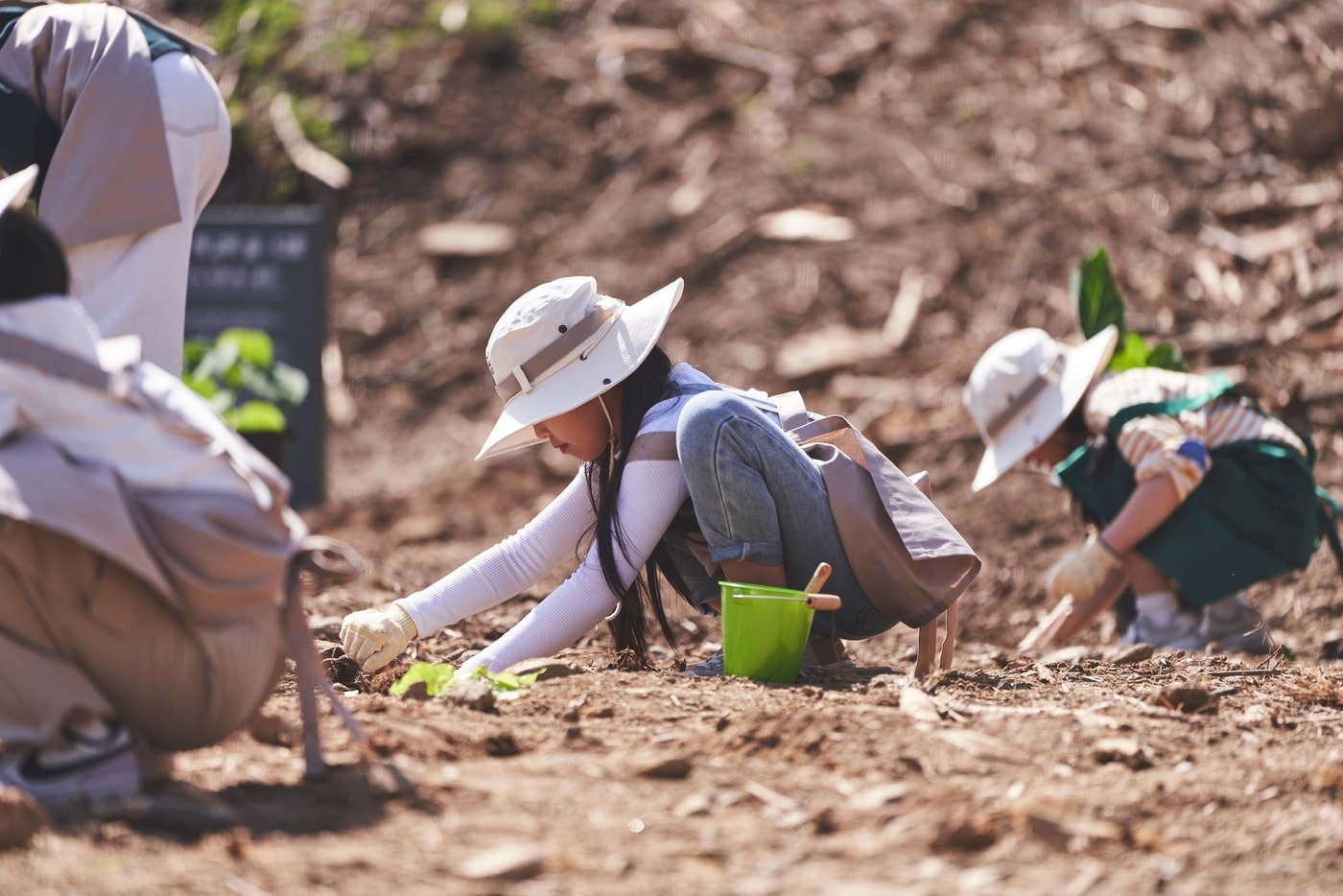 태양의 숲 조성을 위해 식재 중인 아이들의 모습.(한화그룹 제공) 