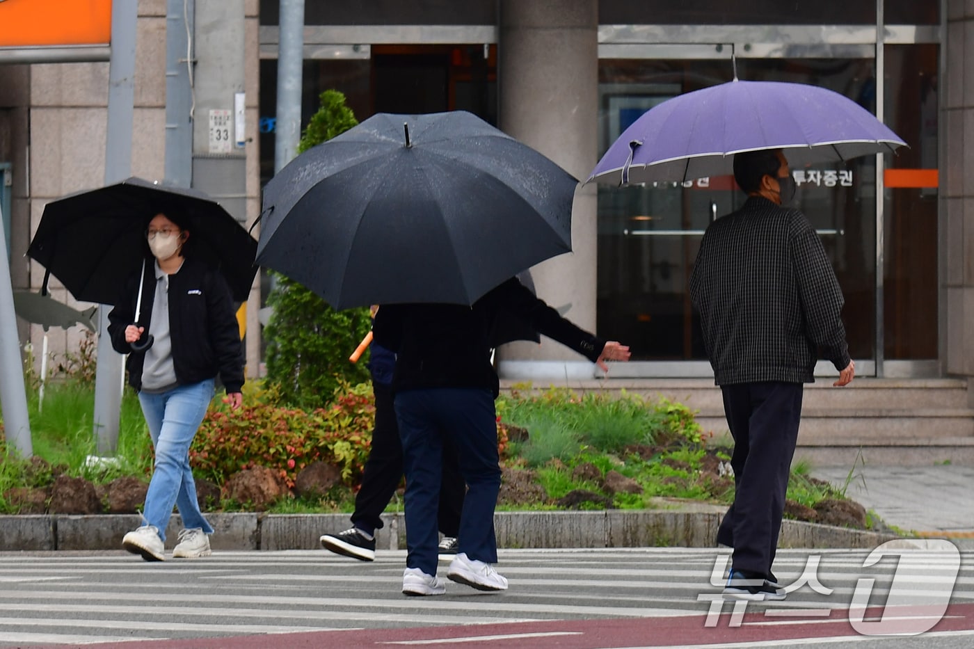 자료사진/뉴스1